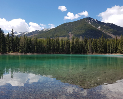 elkford