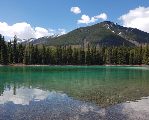 elkford 